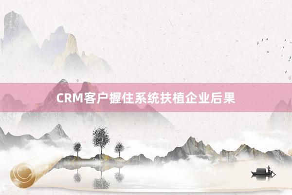 CRM客户握住系统扶植企业后果